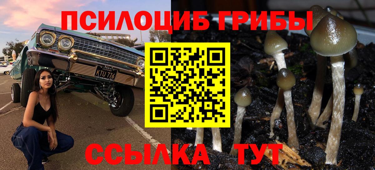 Серов  Галлюциногенные грибы мухоморы  Вход с VPN 